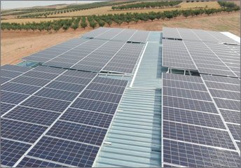 AMB innova en el sector agrícola mediante el Riego Solar Fotovoltaico