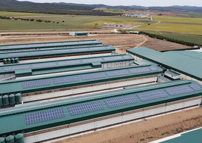 Proyecto Autoconsumo instantáneo con sistema antivertido