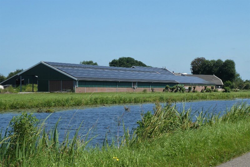 razones autoconsumo solar industria agroalimentaria