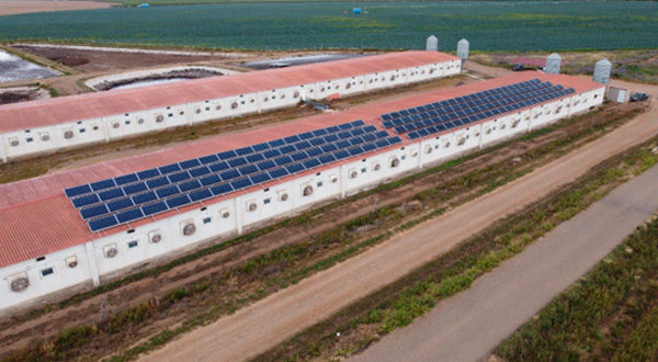 Proyecto Planta solar conexión a red