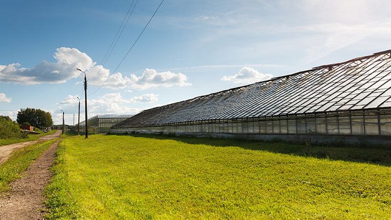 Autoconsumo solar en explotaciones agrícolas y ganaderas
