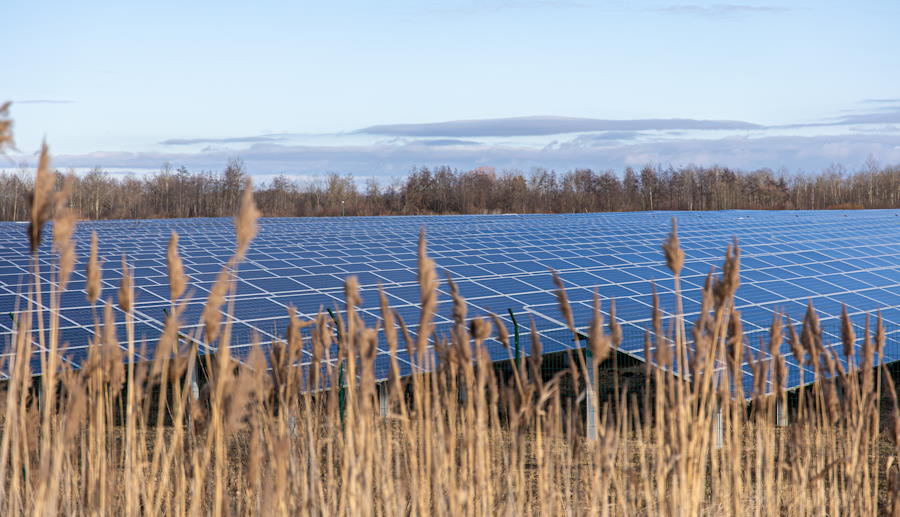 Agrovoltaica: Sinergia entre Cultivos y Producción Fotovoltaica