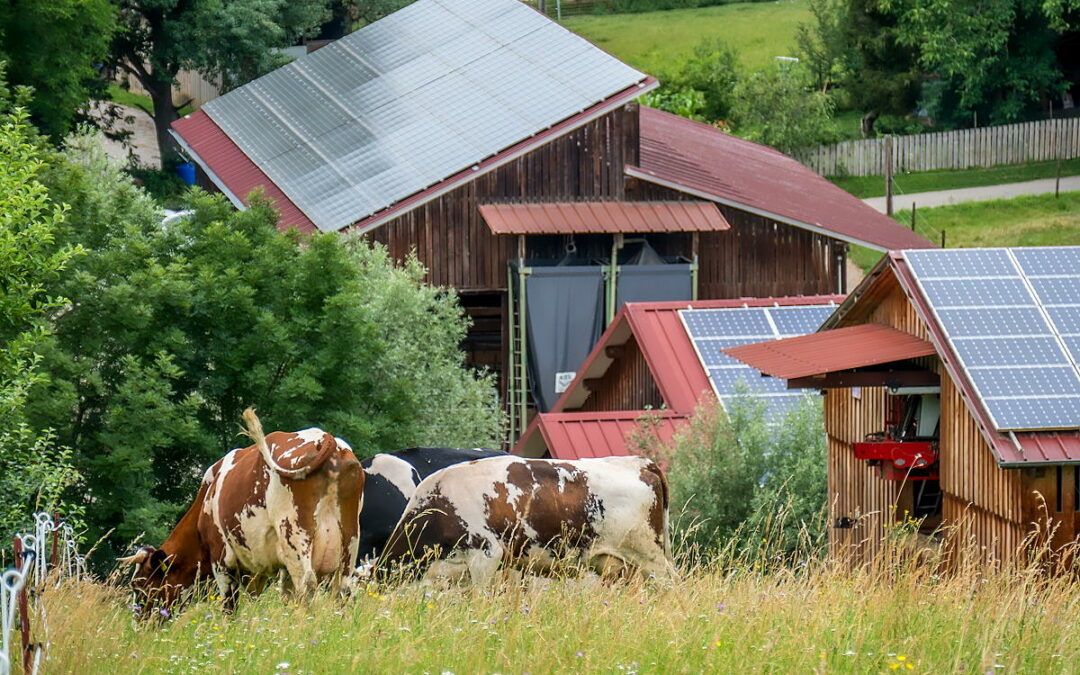 Instalaciones solares para explotaciones agrícolas con consumo estacional
